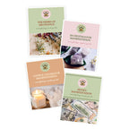 Money Manifesting Kit